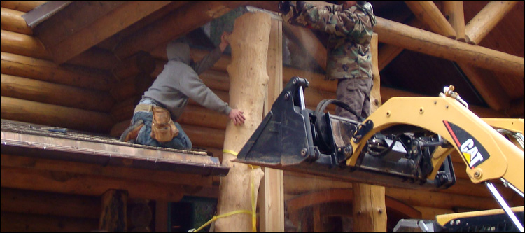 Log Home Log Replacement  Monroeville, Ohio