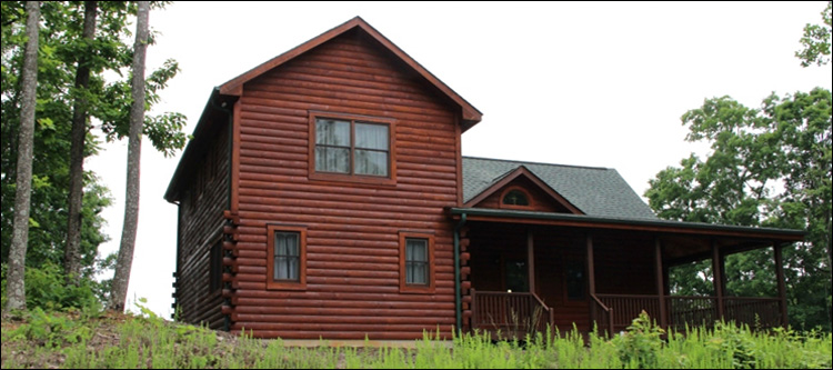 Professional Log Home Borate Application  Huron County, Ohio